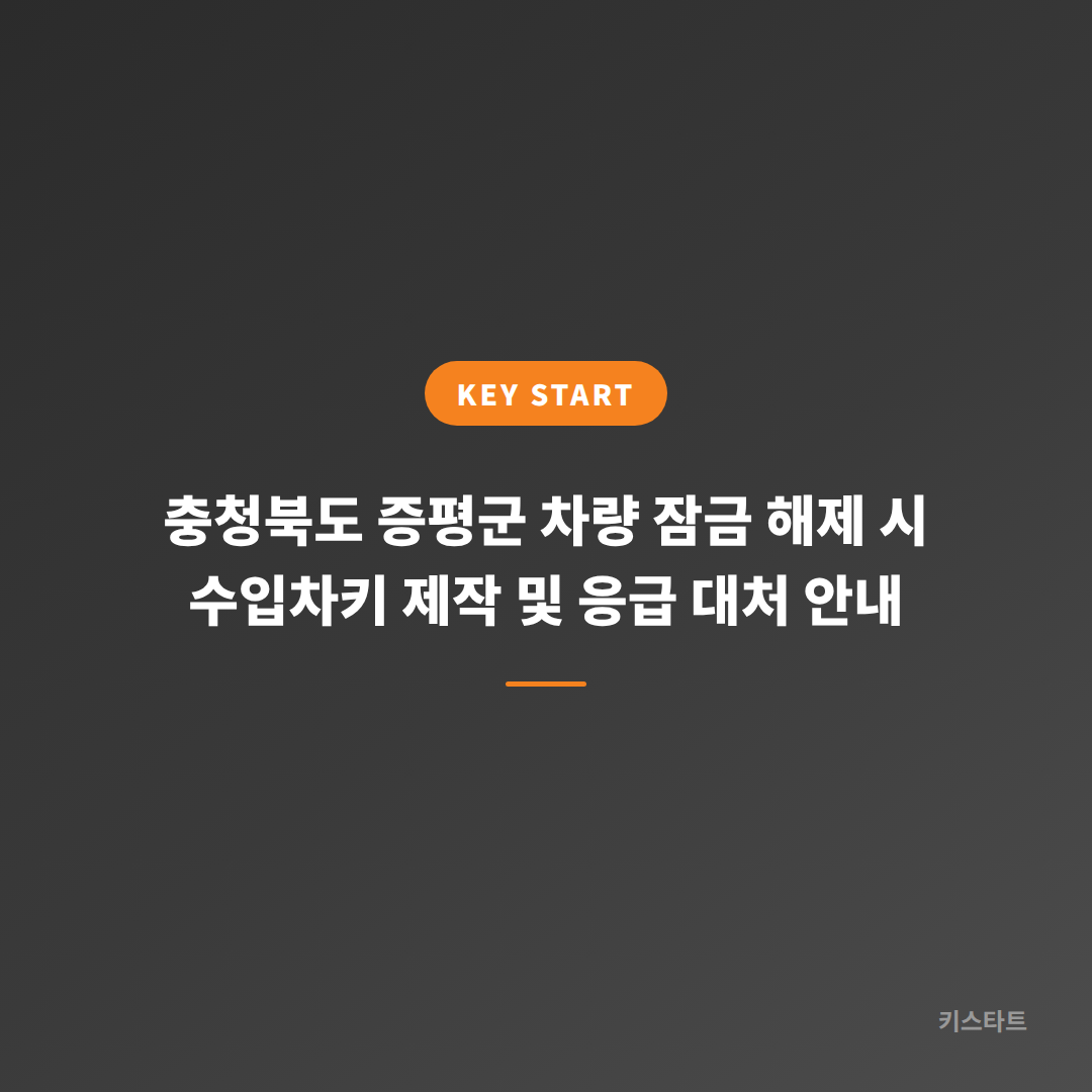 충청북도 증평군 차량 잠금 해제 시 수입차키 제작 및 응급 대처 안내