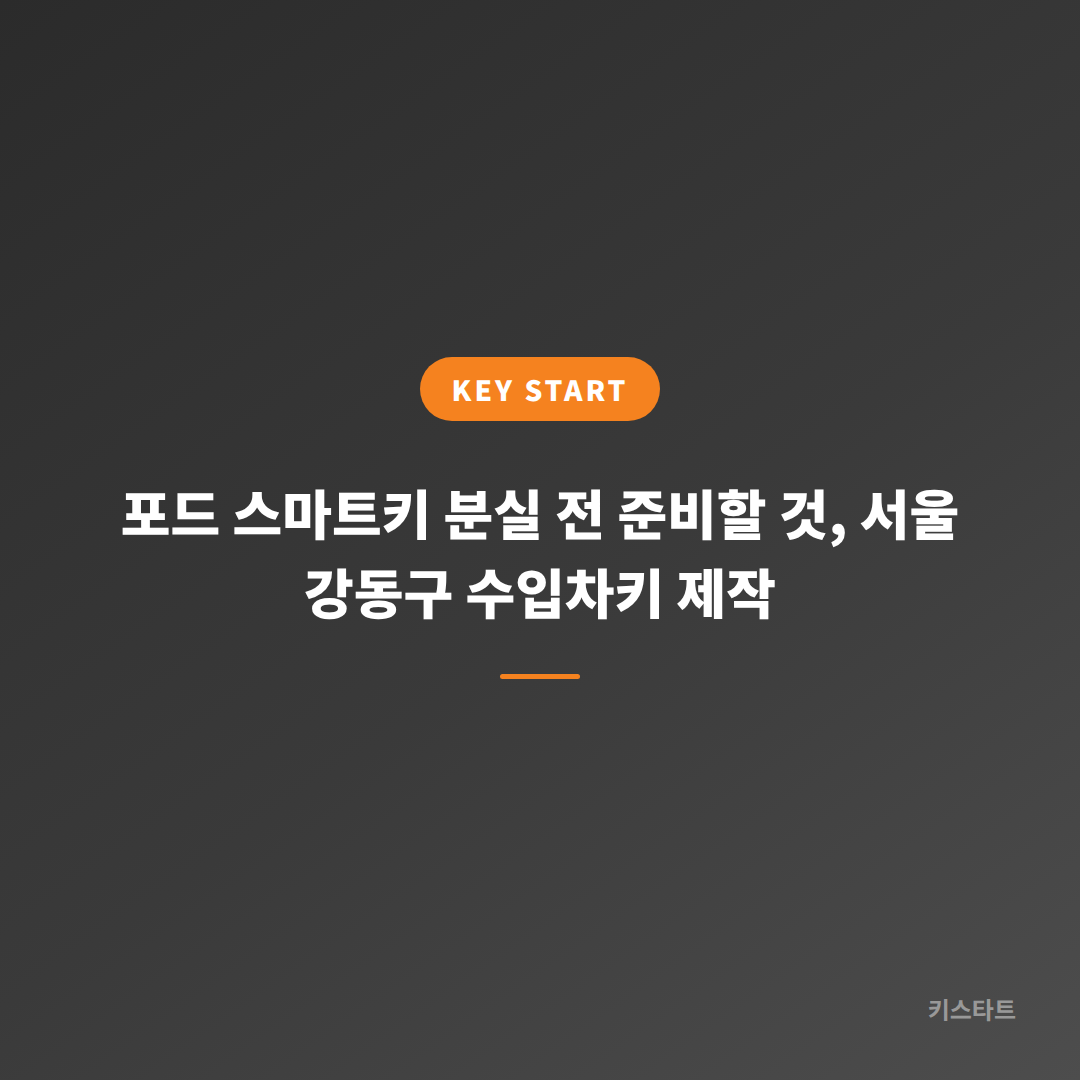 포드 스마트키 분실 전 준비할 것, 서울 강동구 수입차키 제작